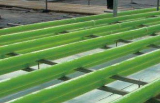 我国科学家自主开发出二氧化碳耐受产油微藻