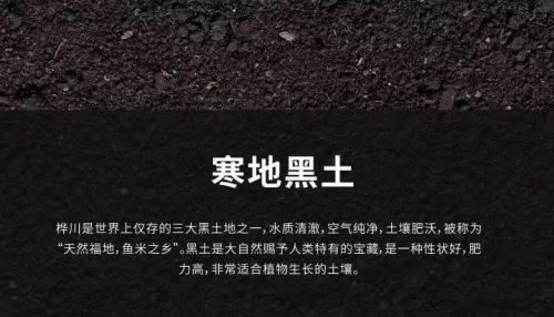 炎帝生物新零售之星火大米：现代农业培育尊享品质