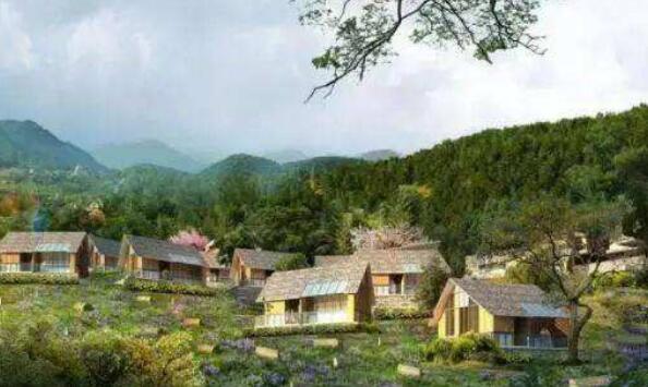 下一站旅游目的地：森林乡村