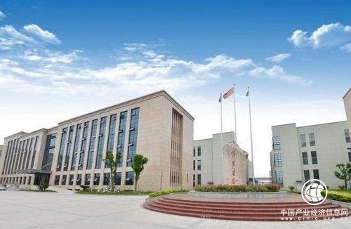 莎普爱思药业转型：年报首亏，长期看好