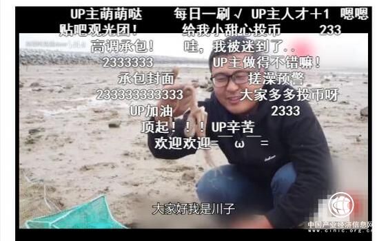 今日头条三农领域又出“新秀” 新农人川子走红网络