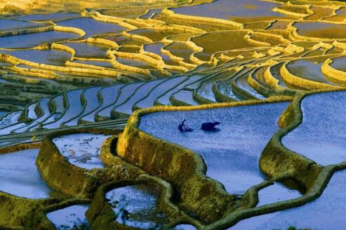 广西龙胜接力守护千年梯田：种田地就是“种”风景