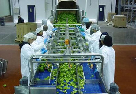 2018年四川农产品出口总额约56亿元 较上年增长30.4%