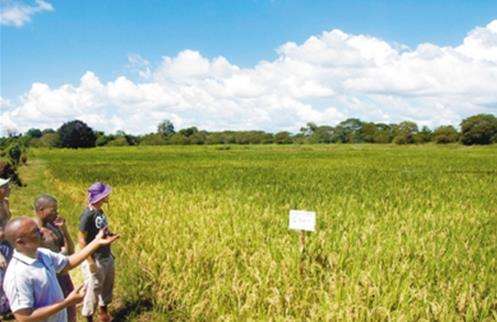 世行研究显示“”倡议可加快发展中国家减贫