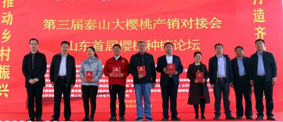 碳氢核肥惊艳泰山樱桃产销对接大会 碳氢樱桃191项零农药残留