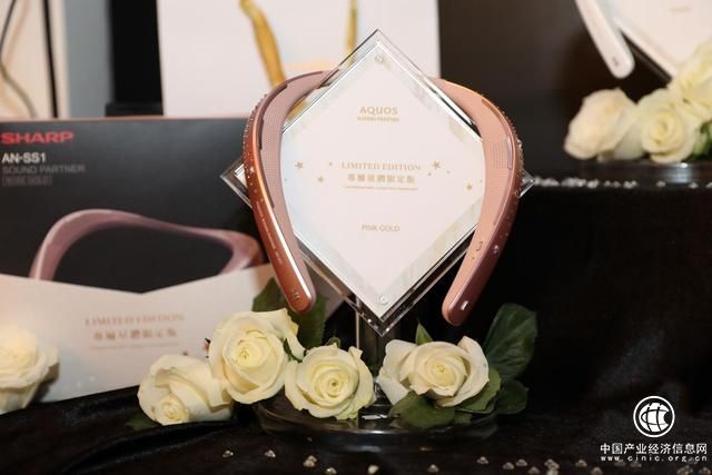 夏普新品发布会打造黑白共进 新品冰箱携全矩阵产品打响中国市场