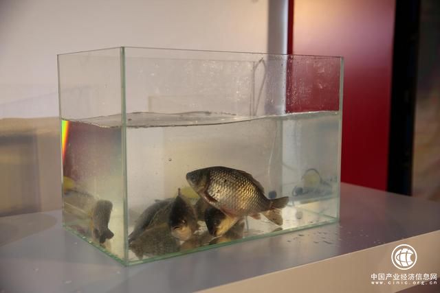 夏普新品发布会打造黑白共进 新品冰箱携全矩阵产品打响中国市场