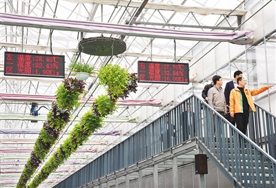 城镇化，激发经济发展潜力