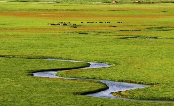 内蒙古“十四五”期间种草改良超1亿亩