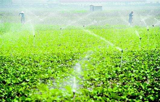 湖北“一场一品”为农场脱贫插上翅膀