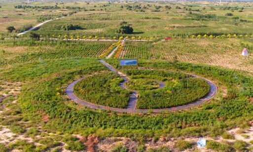 通辽市“生态修复促扶贫”模式入选首批全球最佳案例