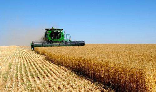 黑龙江农产品出口贸易持续增长