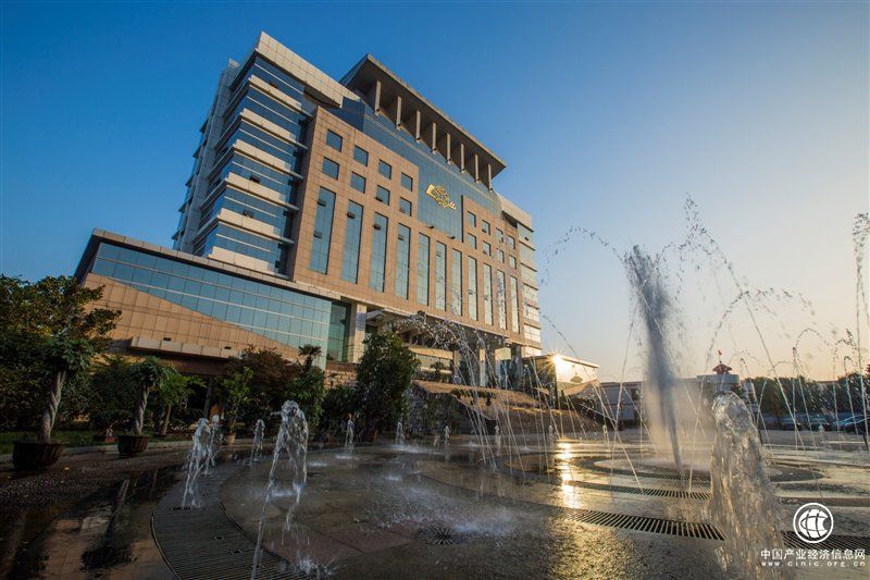 鲁南制药：民营药企成长样本