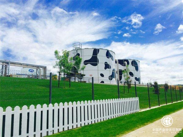 蒙牛态度：把握源头打造世界级乳品