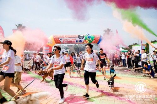 奔跑吧红狗杯，千名宠友携652只狗狗狂欢六一