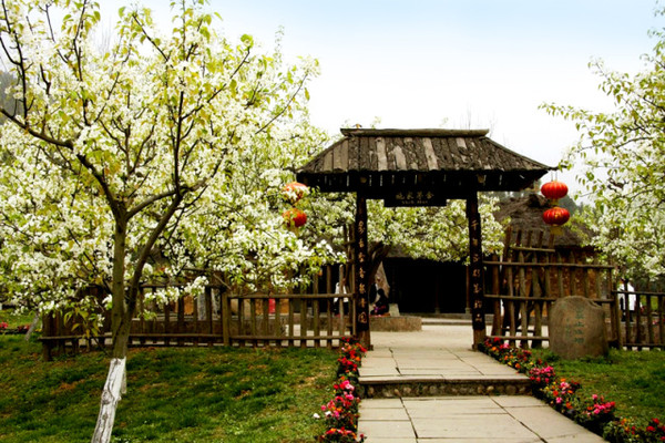 2019年全国文化和旅游事业费达1065.02亿元