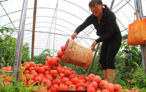 推进农业产业扶贫 四川将在贫困地区新建150个现代农业园区