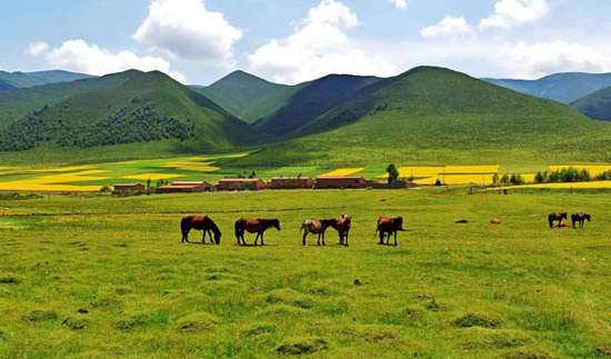 藏青两省区携手打造青藏高原国际旅游目的地
