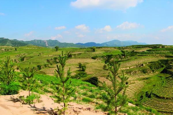 山西生态扶贫助力52万贫困人口增收