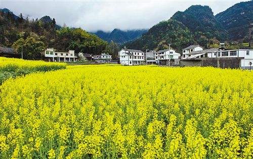 春日旅游红火 新场景激发消费新活力