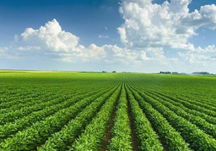 江苏省三大工程提升农业综合产能