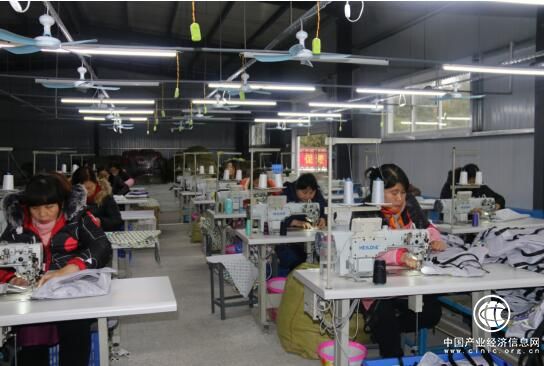 河南南召：支部有力量 脱贫有希望