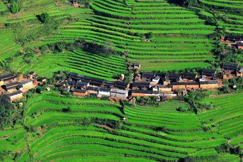 云南楚雄市产业扶贫提升可持续发展能力