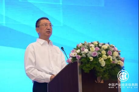 王新哲：电子信息产业已经成为国际竞争的制高点