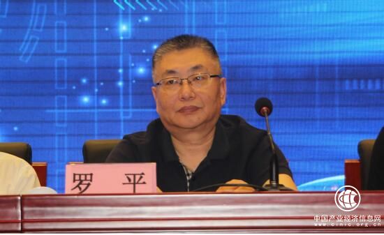 罗平：树立社会化大安全概念 为轨道交通安全运营提供良好保障