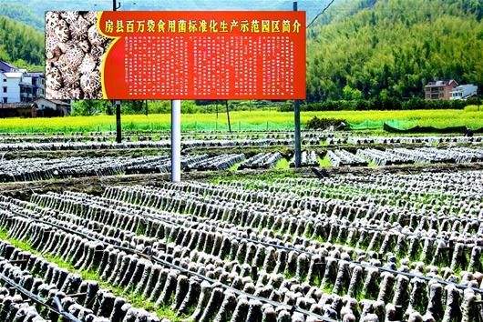 湖北创建33个特色农产品优势区