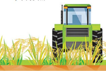 上半年农民收入增6.6% 农业农村经济稳中向好