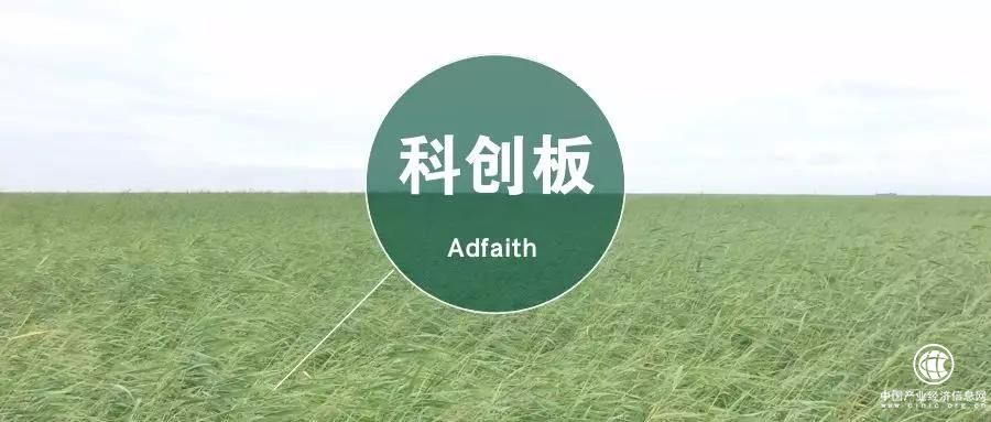 正略咨询：科创板带动中国股市，迈入注册制时代