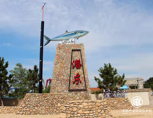 “金秋菊黄蟹正肥” 青岛市崂山区港东渔码头喜迎开海丰收季