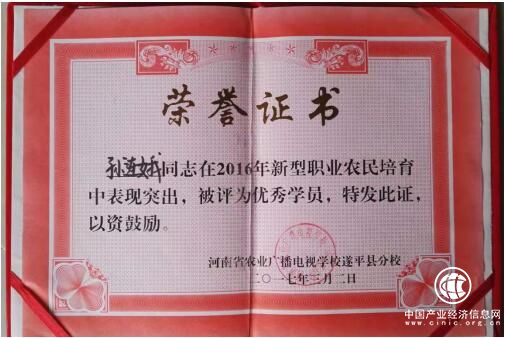 致富带头人种植典型事迹材料(致富带头人种植典型事迹材料范文)