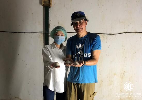 美好燕窝的约定-探寻堂上燕鲜炖燕窝马来西亚溯源之旅
