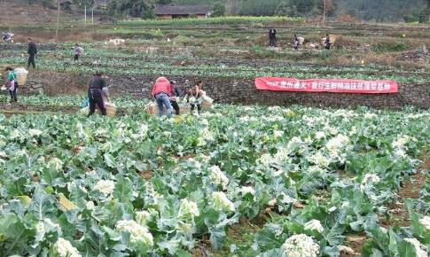 贵州遵义：聚力助推脱贫攻坚，投入资金突破亿元