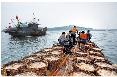 辽宁营口获“中国海蜇之乡”国家级物产地美誉