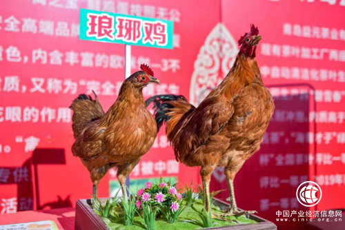 庆祝丰收、弘扬文化、振兴乡村 2019年琅琊镇中国农民丰收节开启