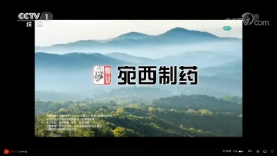 仲景牌六味地黄丸，始终坚守在央视一套新闻栏目的地黄丸