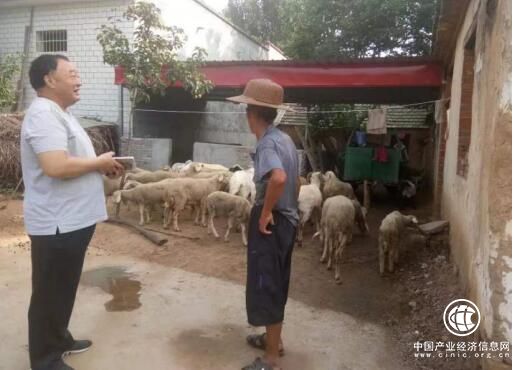 河南省方城县广阳镇罗庄村：精准扶贫暖人心