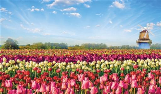 清明假期 河南接待游客1992.7万人次 旅游收入117.3亿元