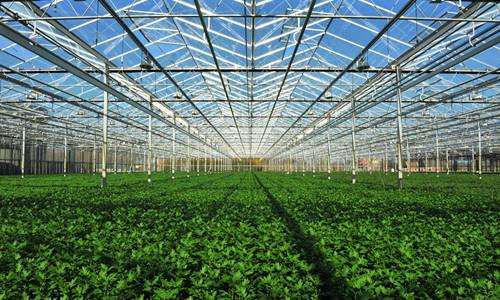 农业科研要跳出“一亩三分地”