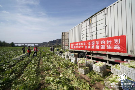 美菜荣膺2019网络扶贫论坛暨创新优秀案例