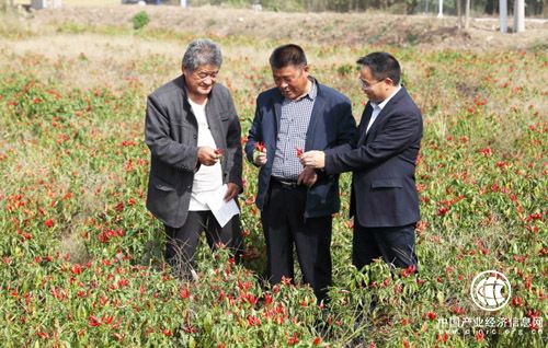 江苏灌云：扶贫产品助推岗东模式