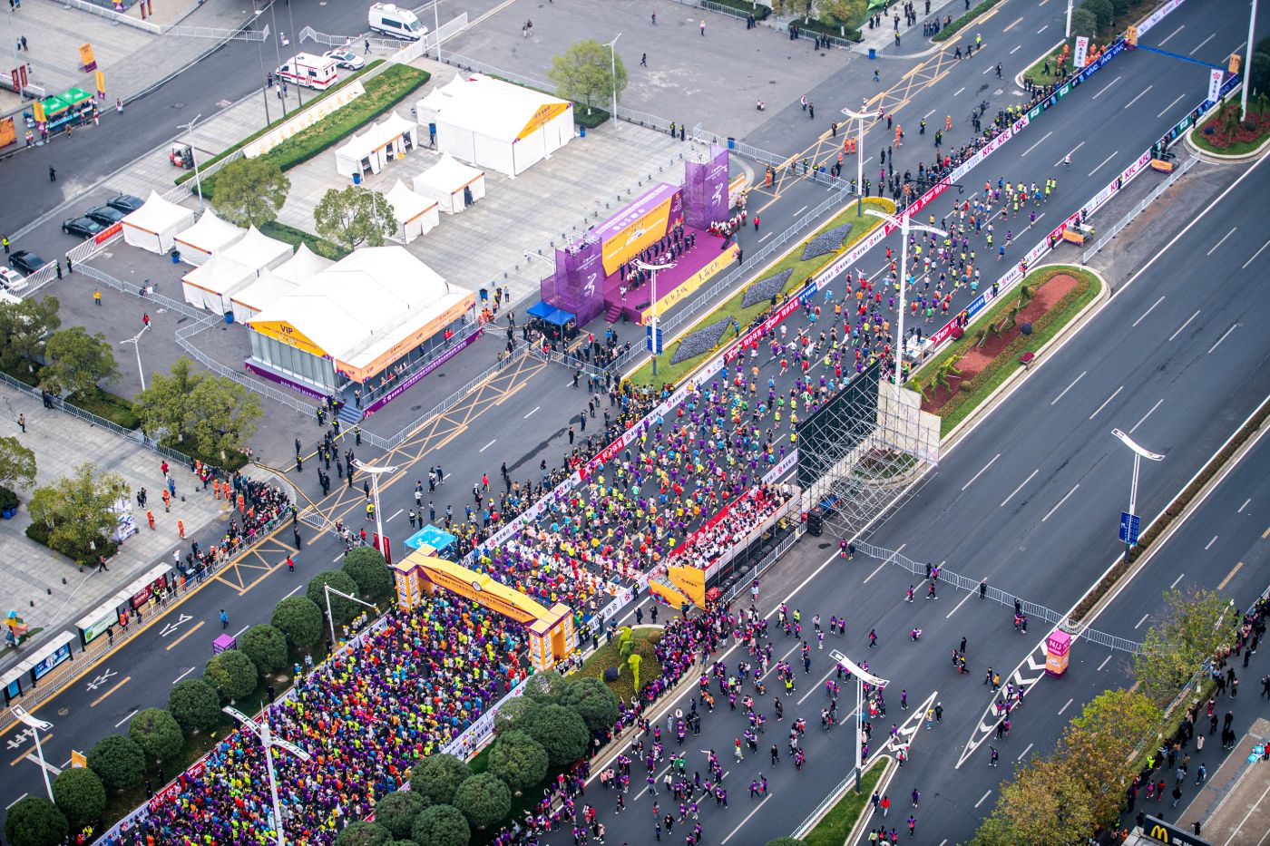 “南马”助力南京“招商突破年”