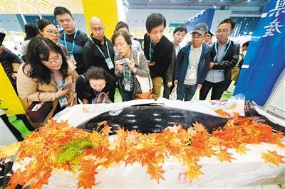 双11“全民买”进博会“买全球” 世界欢享中国购物盛宴