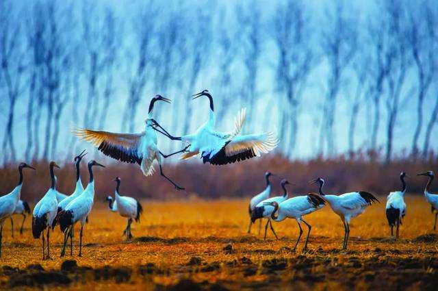 自然遗产申报促使科学家具备全球视野