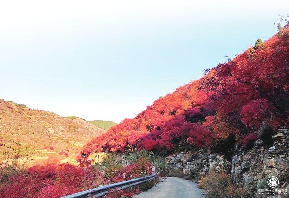 章丘区曹范街道挖掘“自身优势”，实现“蓄力发展”