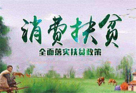 江苏探索10种模式消费扶贫 精准推动产业扶贫