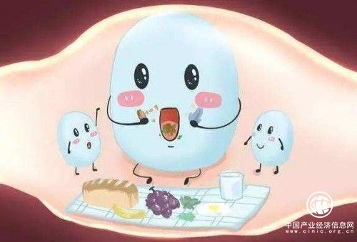 吃了成人益生菌感觉没用？可能是踩了这3大误区 